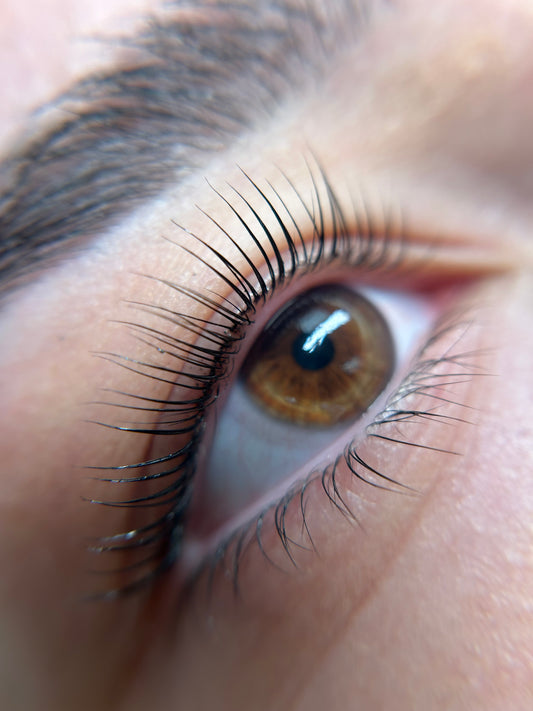 Korean Lash Lift Course